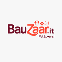 Bauzaar IT