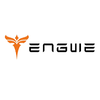 Engwe Bikes IT