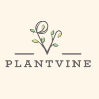 Plant Vine