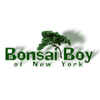 Bonsai Boy of New York