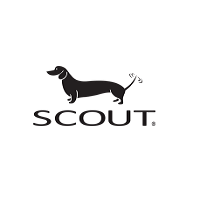 Scout Alarm
