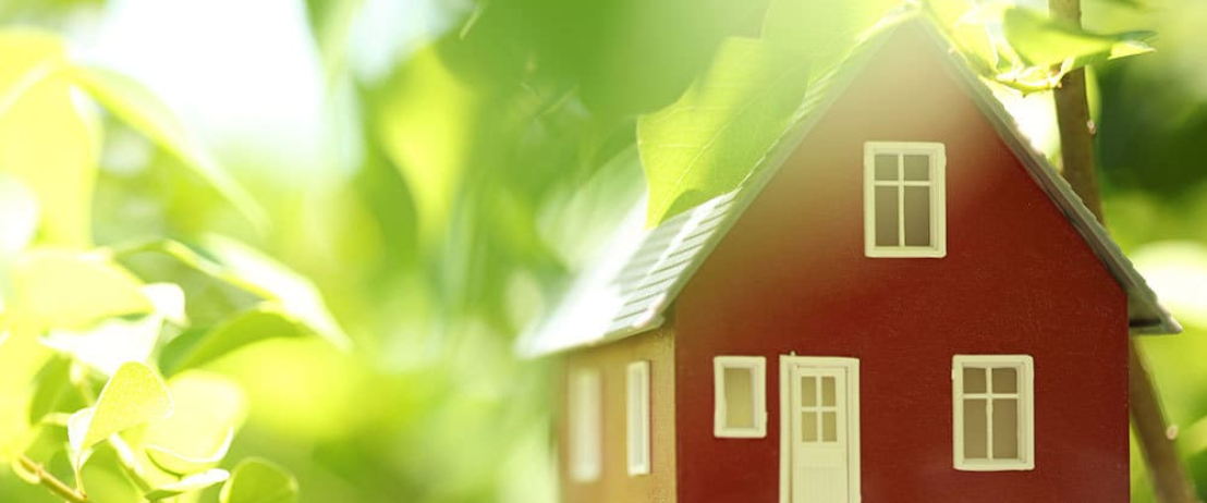 Home Energy Efficiency 